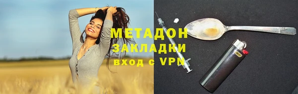 гидра Алексеевка