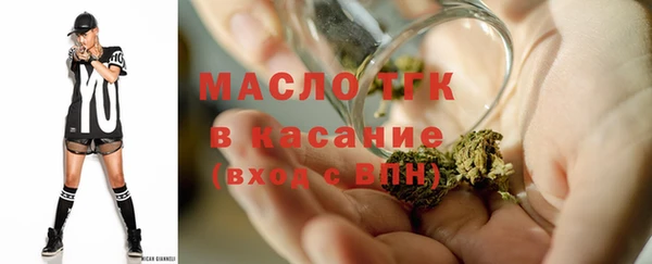 гидра Арсеньев