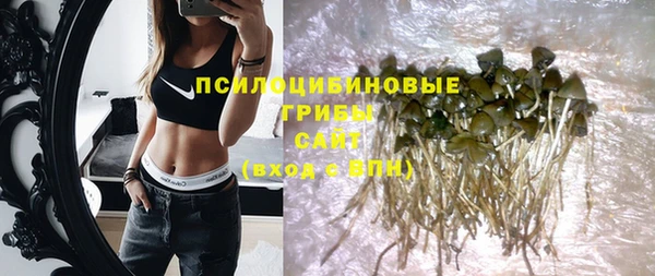 бутират Алзамай