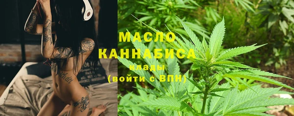 гидра Арсеньев