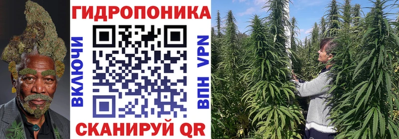 Шишки марихуана тримм Лахденпохья